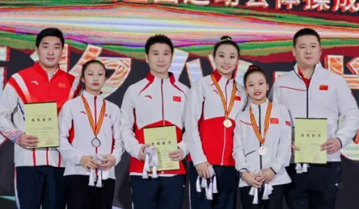 WAG Uneven Bars.webp