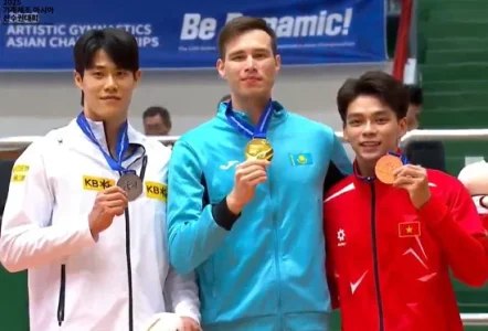 2025 Asian Championships - MAG Pommel Horse.webp