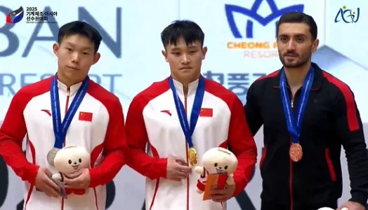2025 Asian Championships - MAG Still Rings.webp