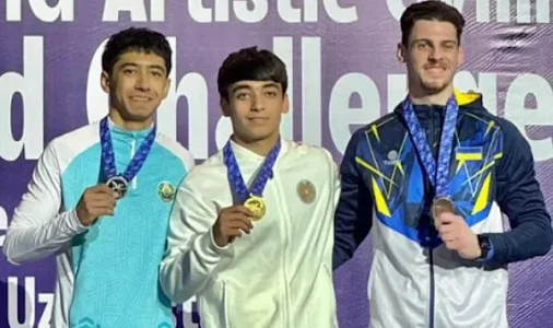2025 Tashkent Ch.Cup - MAG Pommel Horse.webp