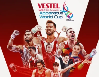 vestel wc.webp