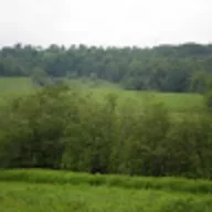 VotreAmi
