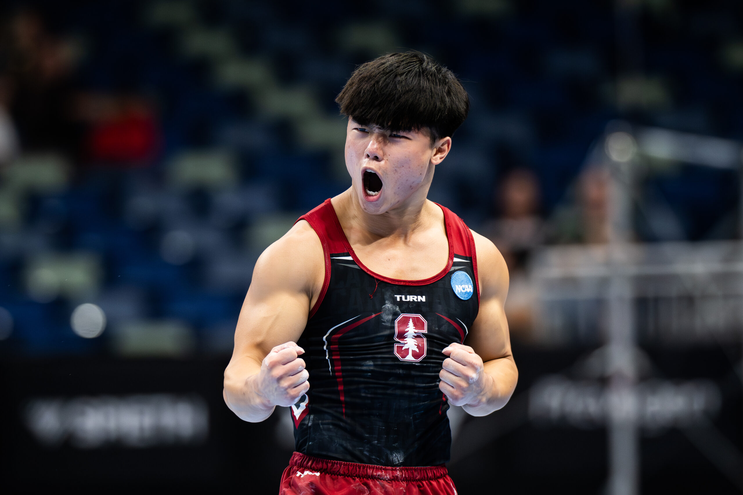 gymnastics-now.com