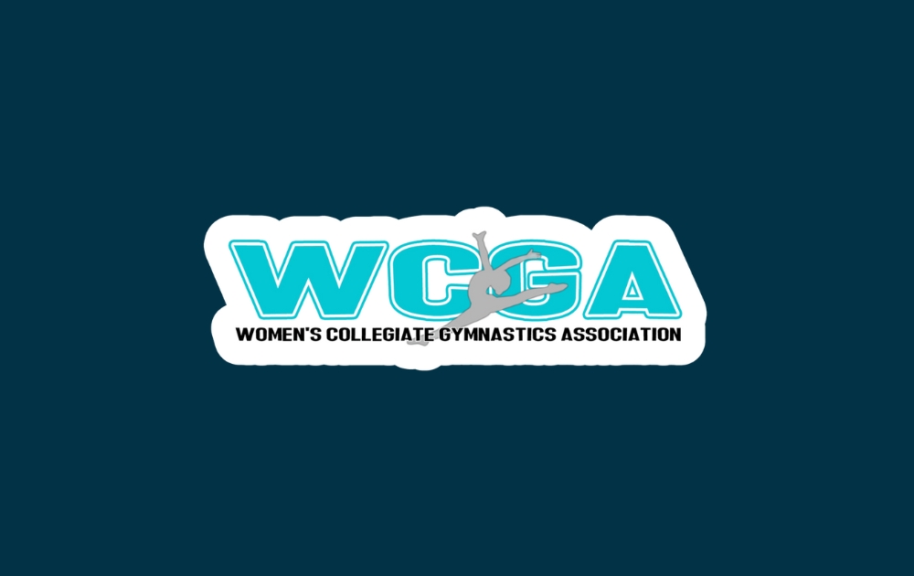 gymnastics-now.com