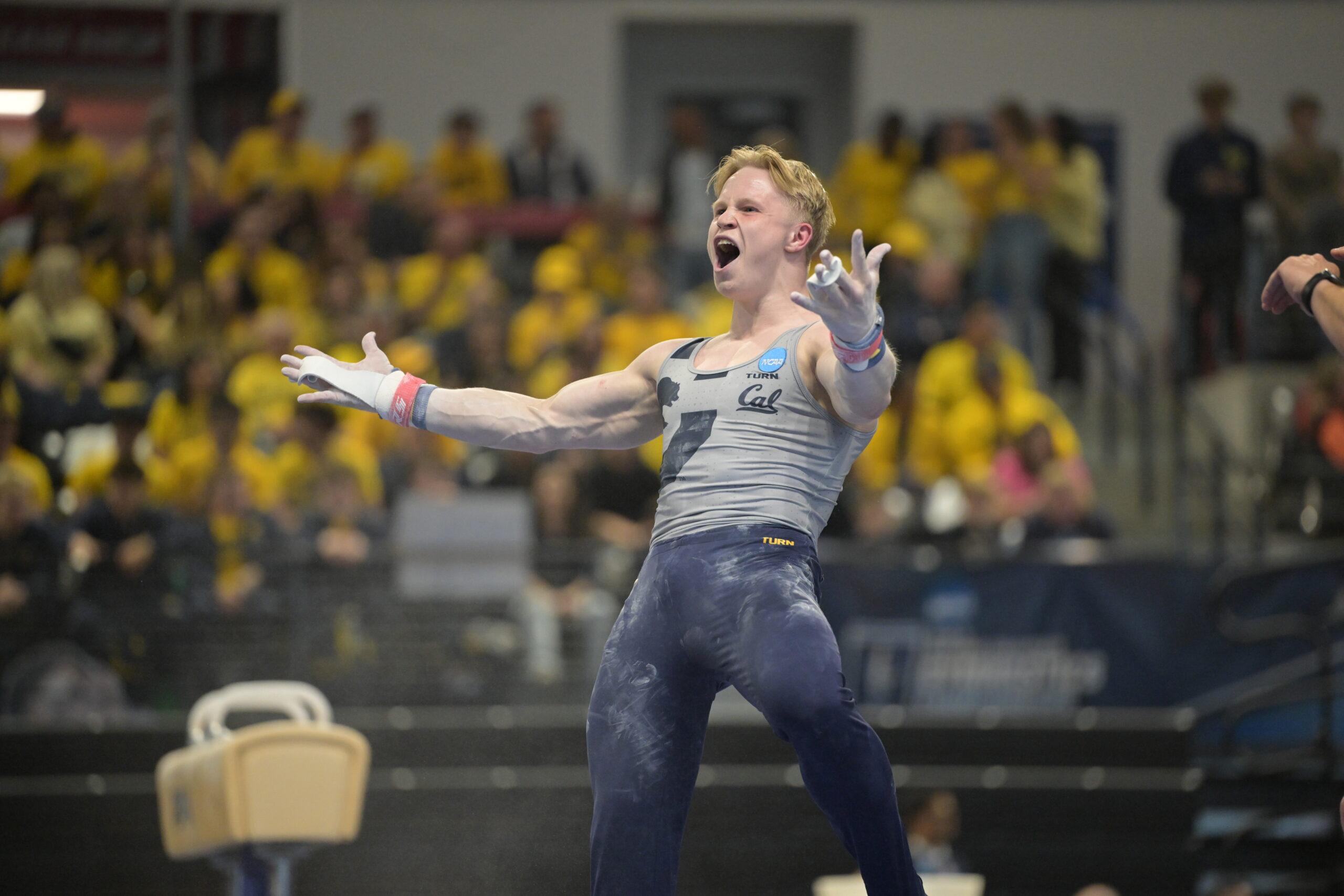 gymnastics-now.com